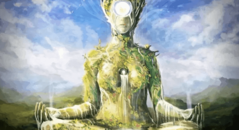 Conscience et communion avec la Terre et sa nature