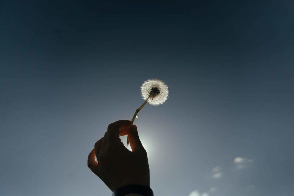https://www.developper-puissance-et-joie.com/que-signifie-viveka-ou-discernement-spirituel/